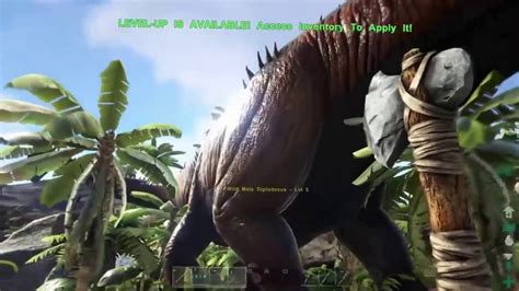 ark porn|Ark Porn Videos .